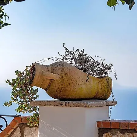 Casa Astra Panzió